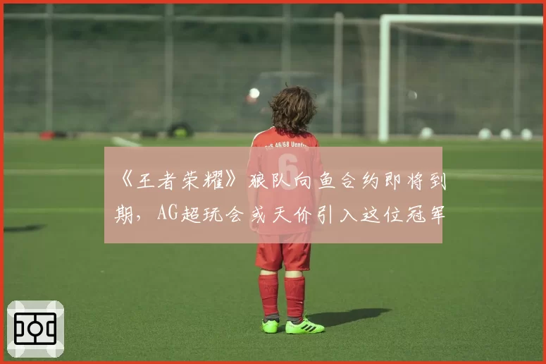 《王者荣耀》狼队向鱼合约即将到期，AG超玩会或天价引入这位冠军中单？