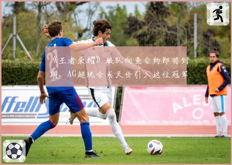 《王者荣耀》狼队向鱼合约即将到期，AG超玩会或天价引入这位冠军中单？