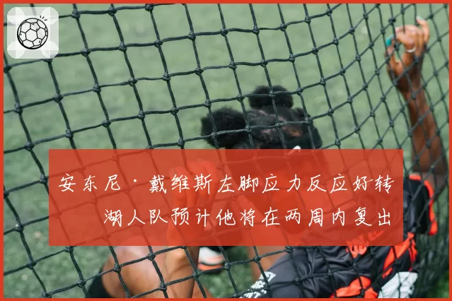 安东尼·戴维斯左脚应力反应好转,湖人队预计他将在两周内复出